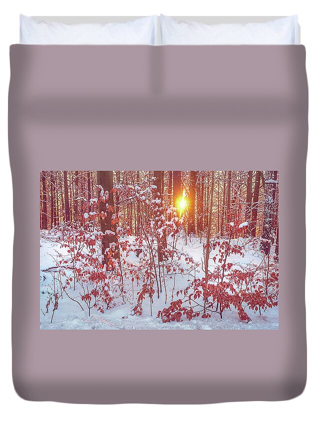 Jenny Rainbow Fine Art Photography Duvet Cover featuring the photograph Sunset in Winter Forest by Jenny Rainbow