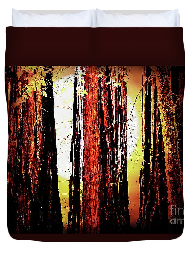 Tree Duvet Cover featuring the photograph Sunset Over The Old Redwoods . 7D5433 by Wingsdomain Art and Photography