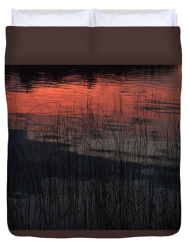 Camelot Island Duvet Cover featuring the photograph Sunset reeds by Gary Eason