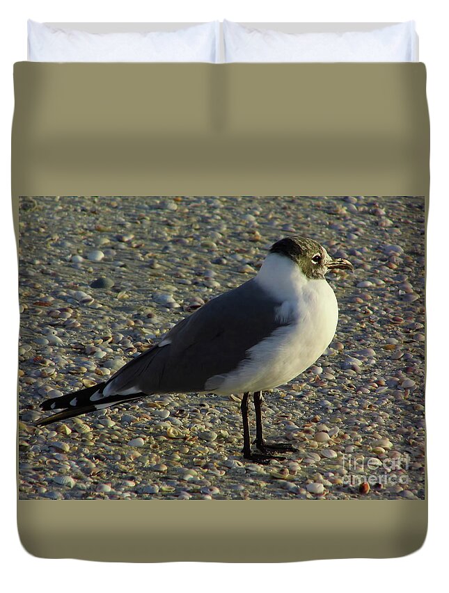 Bird Duvet Cover featuring the photograph Sunset Seagull by D Hackett