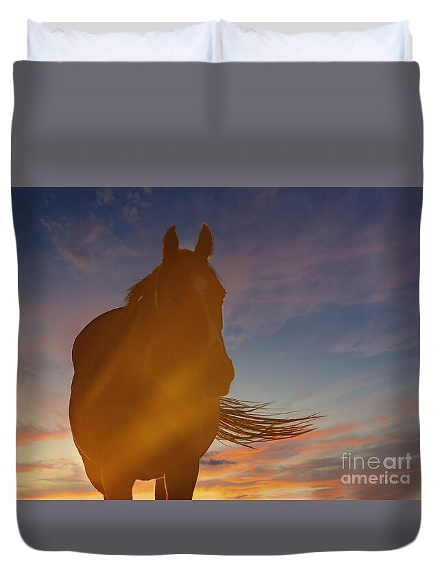 Horse Duvet Cover featuring the photograph Sunset Silhouette by Carol Lynn Coronios