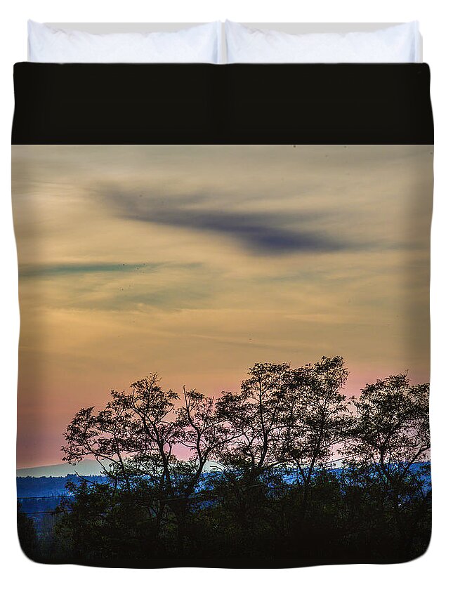 Lynden Duvet Cover featuring the photograph Sunset Silhouette by Judy Wright Lott
