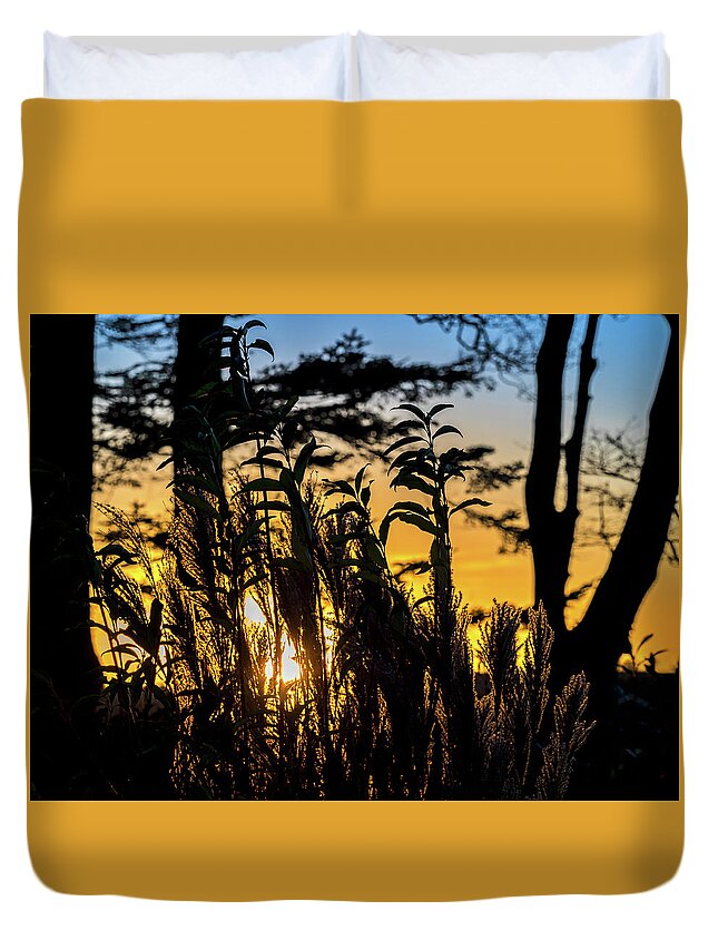 Orange Duvet Cover featuring the photograph Sunset Silhouette by Mark Llewellyn