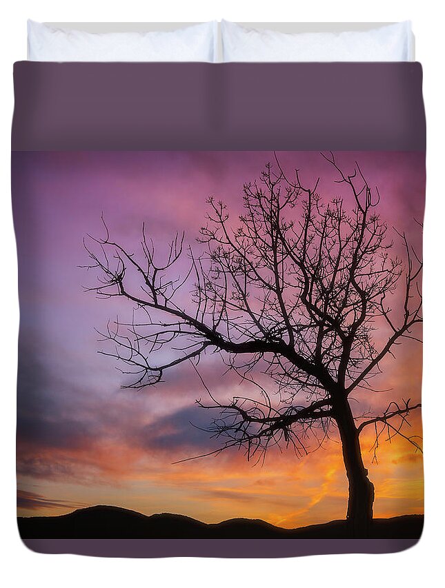 Tree Duvet Cover featuring the photograph Sunset Tree by Darren White
