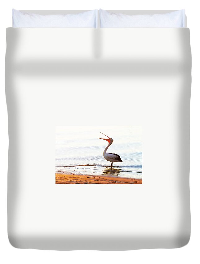 Susan Vineyard Duvet Cover featuring the photograph Sunshine Coast Pelican by Susan Vineyard