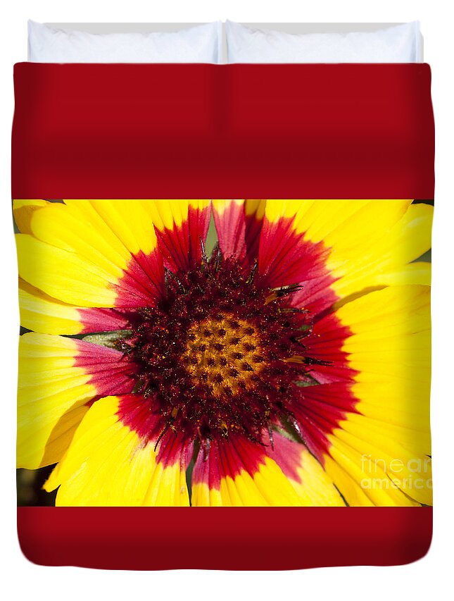 Flower Duvet Cover featuring the photograph Sunshine by Douglas Kikendall