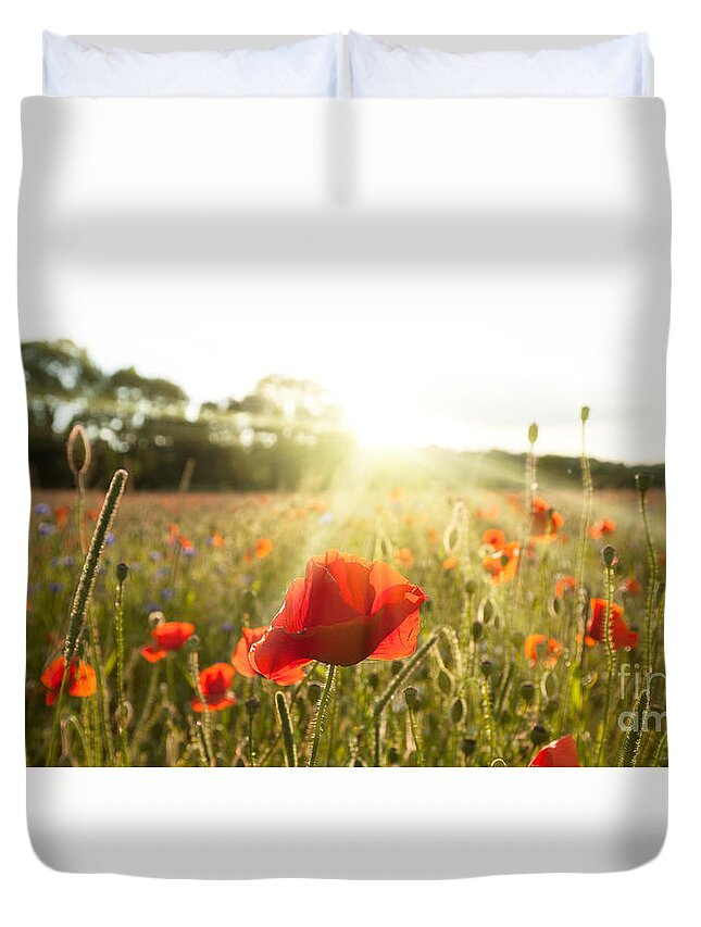 Poppies Duvet Cover featuring the photograph Sunshine poppy field landscape by Simon Bratt
