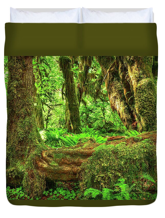Olympic National Park Duvet Cover featuring the photograph Super Green Rainforest by Spencer McDonald