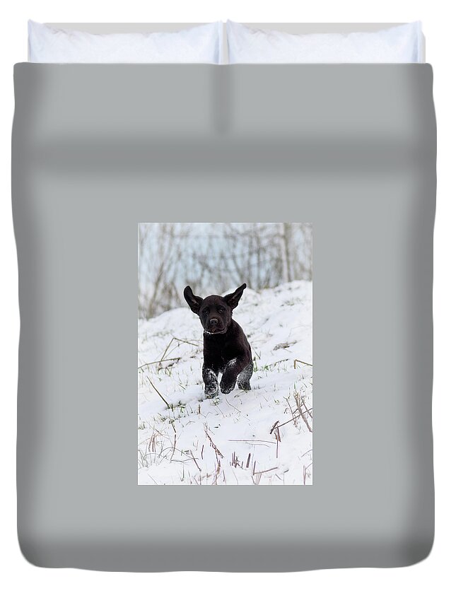 Pup Duvet Cover featuring the photograph Super Pup by Holden The Moment