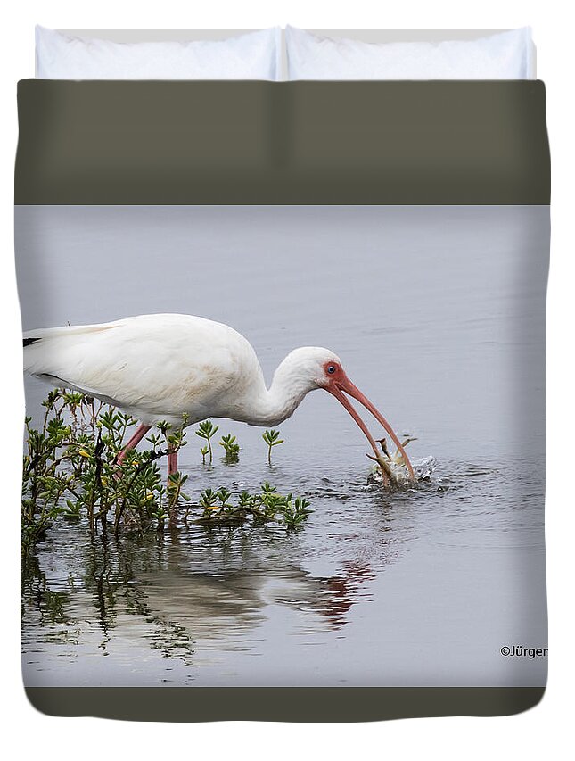 White Ibis Duvet Cover featuring the photograph Big Catch by Jurgen Lorenzen