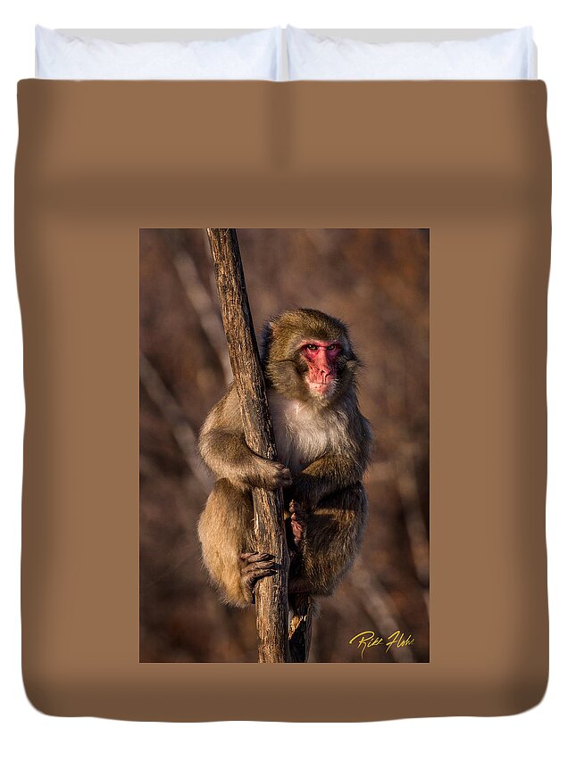 Animals Duvet Cover featuring the photograph Surveying Monkey by Rikk Flohr