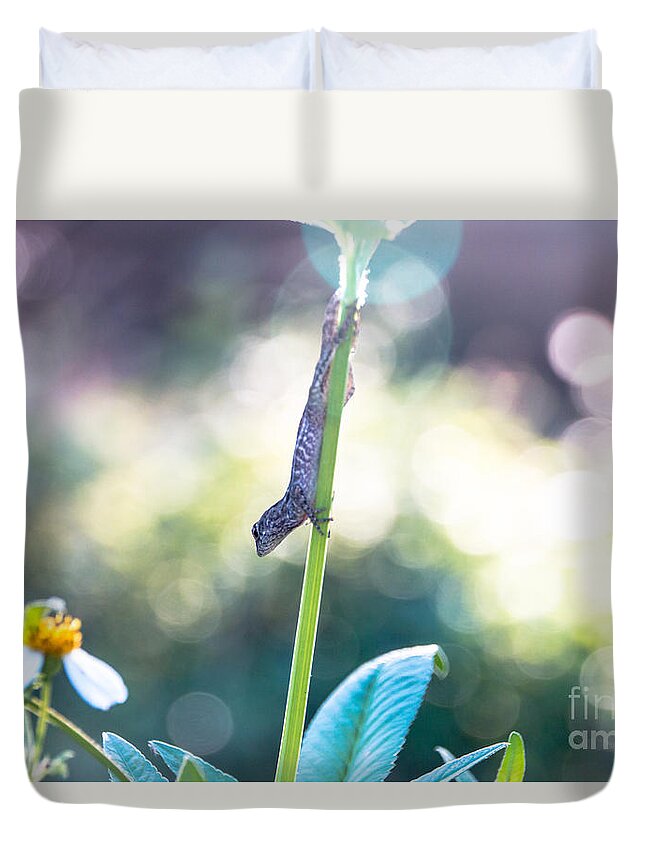 Animal Duvet Cover featuring the photograph Suspended headlong lizard by Amanda Mohler