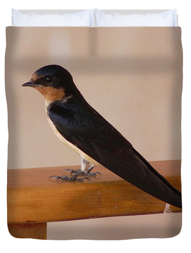 Swallow On Bench Duvet Cover For Sale By Colleen Cornelius