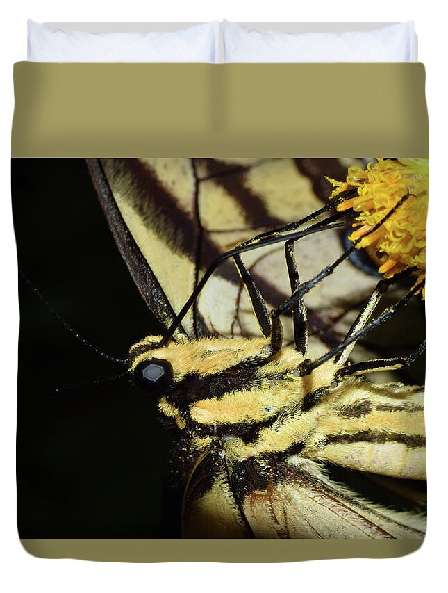 Photograph Duvet Cover featuring the photograph Swallowtail Butterfly by Larah McElroy
