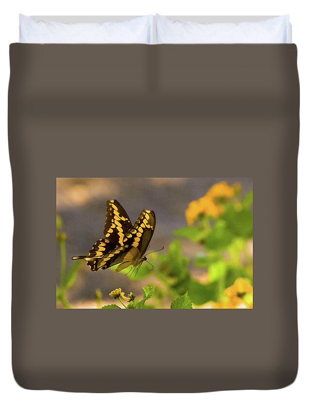 Butterfly Duvet Cover featuring the photograph Swallowtail by Peggy Blackwell