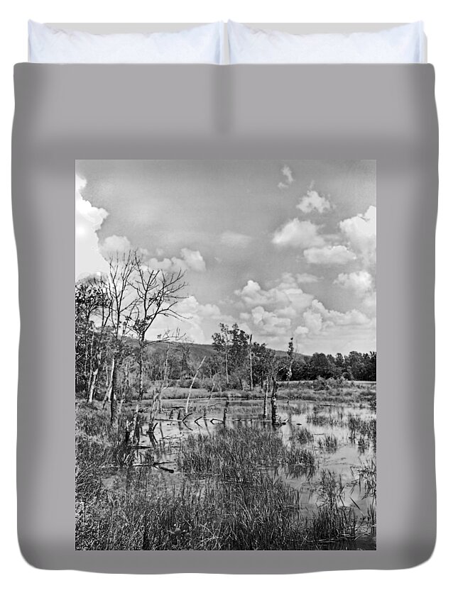 Ansel Adams Duvet Cover featuring the photograph Swamp by Curtis J Neeley Jr