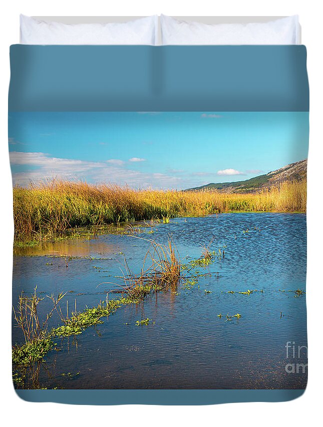 Bulgaria Duvet Cover featuring the photograph Swamp by Jivko Nakev