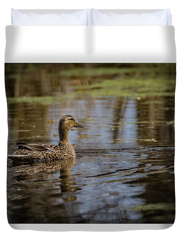 Mallard Duvet Cover featuring the photograph Swamp Lady by Ray Congrove