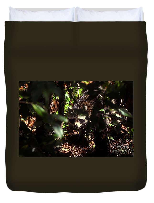 Raccoon Duvet Cover featuring the photograph Swamp Raccoon by David Lee Thompson