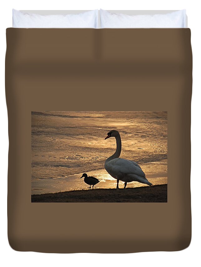 Swan Duvet Cover featuring the photograph Swan and Baby at Sunset by Richard Bryce and Family