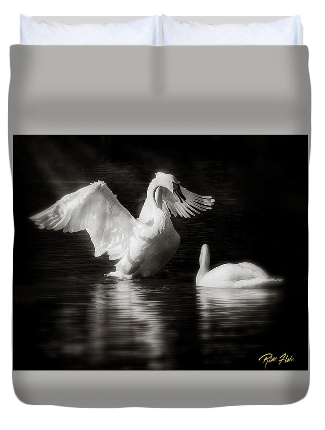 Animals Duvet Cover featuring the photograph Swan Display by Rikk Flohr