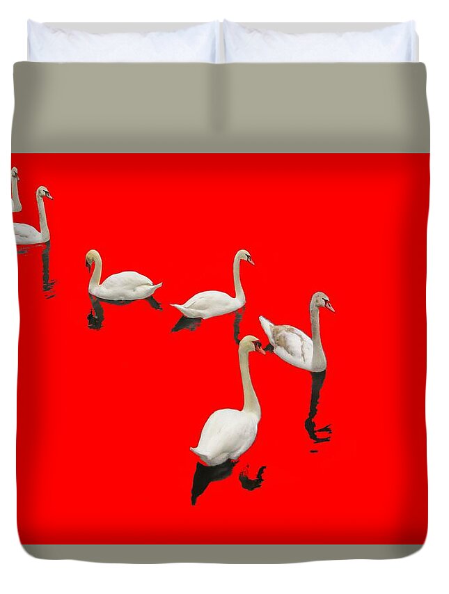 Background Red Duvet Cover featuring the photograph Swan Family On Red by Constantine Gregory