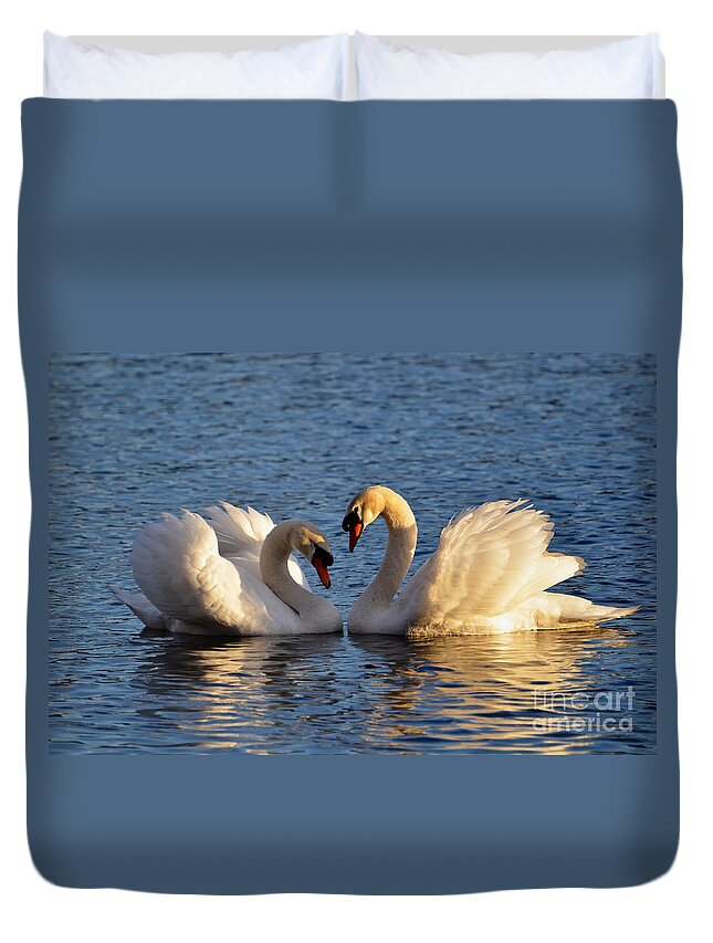 Swan Duvet Cover featuring the photograph Swan heart by Mats Silvan