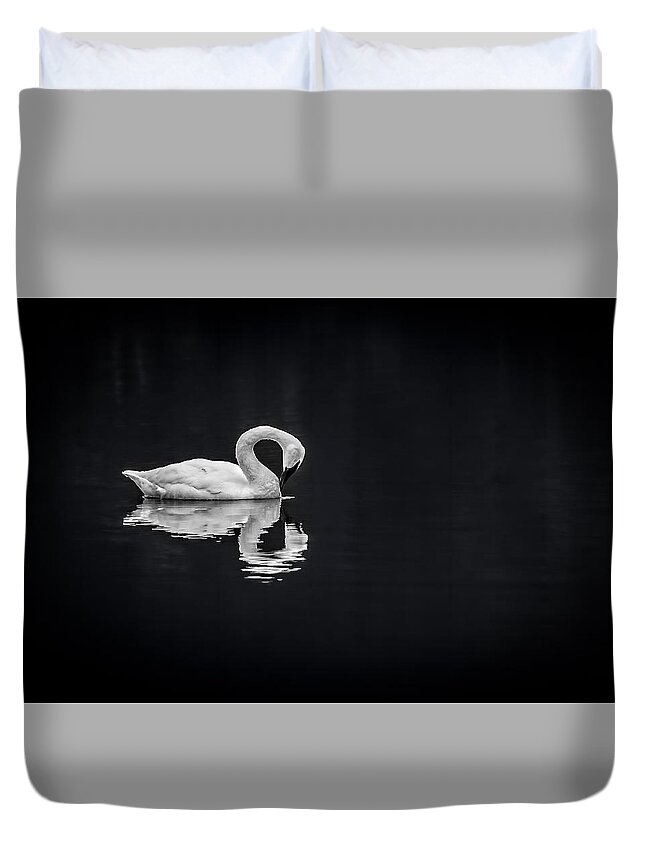  Duvet Cover featuring the photograph Swans by David Downs