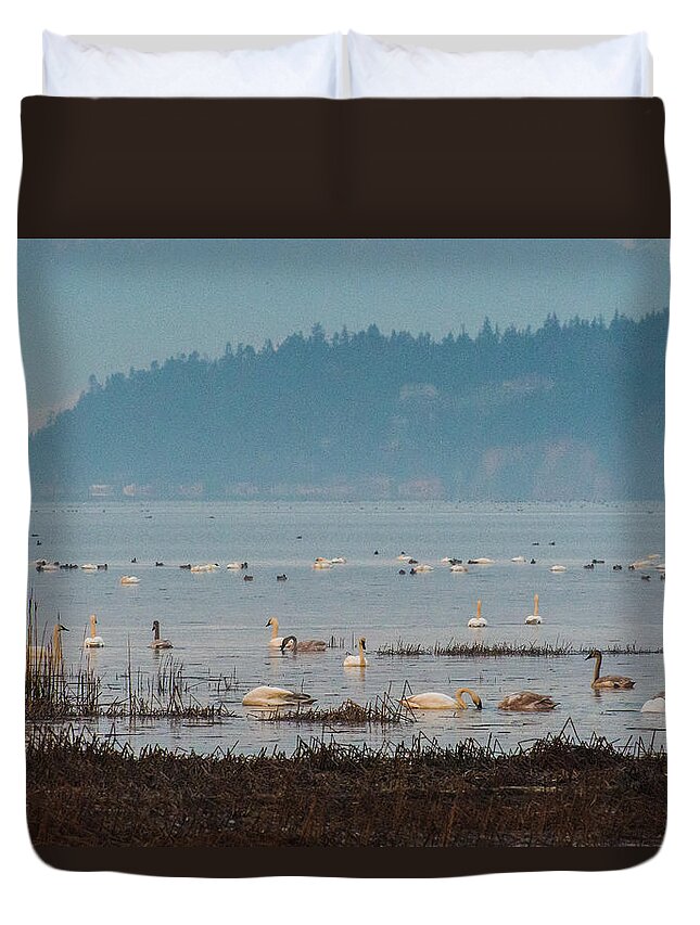 Bird Duvet Cover featuring the photograph Swans on the Sea by Hisao Mogi