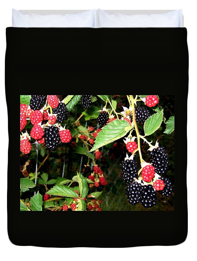 Blackberries Duvet Cover featuring the photograph Sweet Blackberries by Will Borden