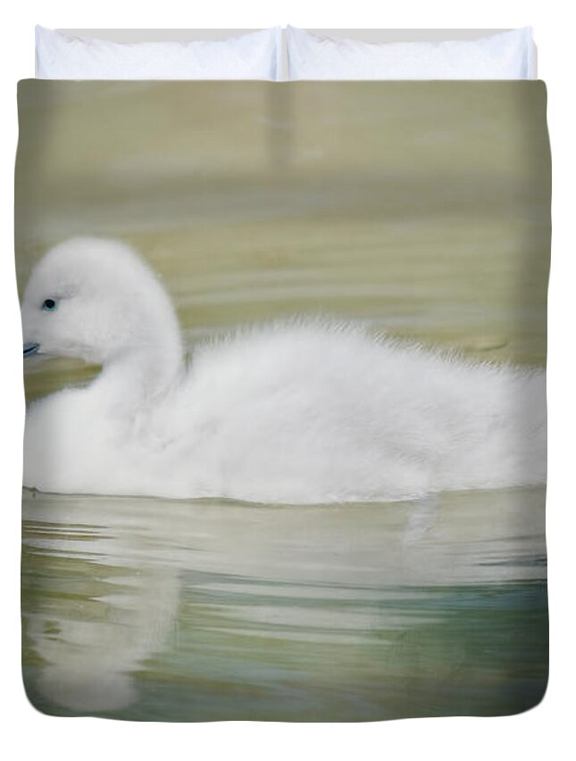 Adorable Duvet Cover featuring the photograph Sweet Little Gosling by Teresa Wilson