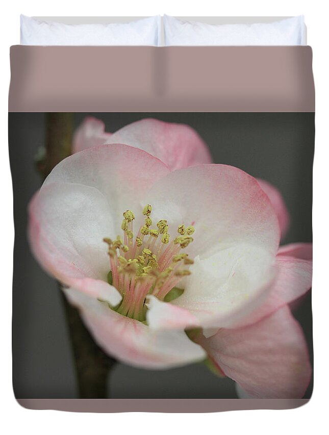 Connie Handscomb Duvet Cover featuring the photograph Sweet Refinement by Connie Handscomb