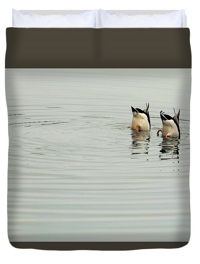 Ducks Duvet Cover featuring the photograph Synchronized Swimmers by Karl Anderson