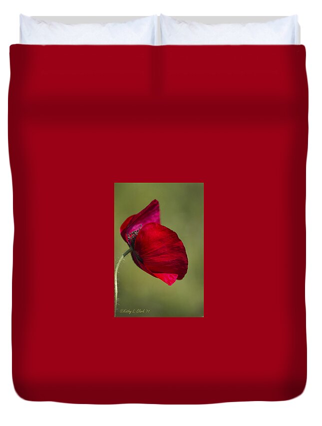 Poppies Duvet Cover featuring the photograph Take a Bow Red Poppy by Kathy Clark
