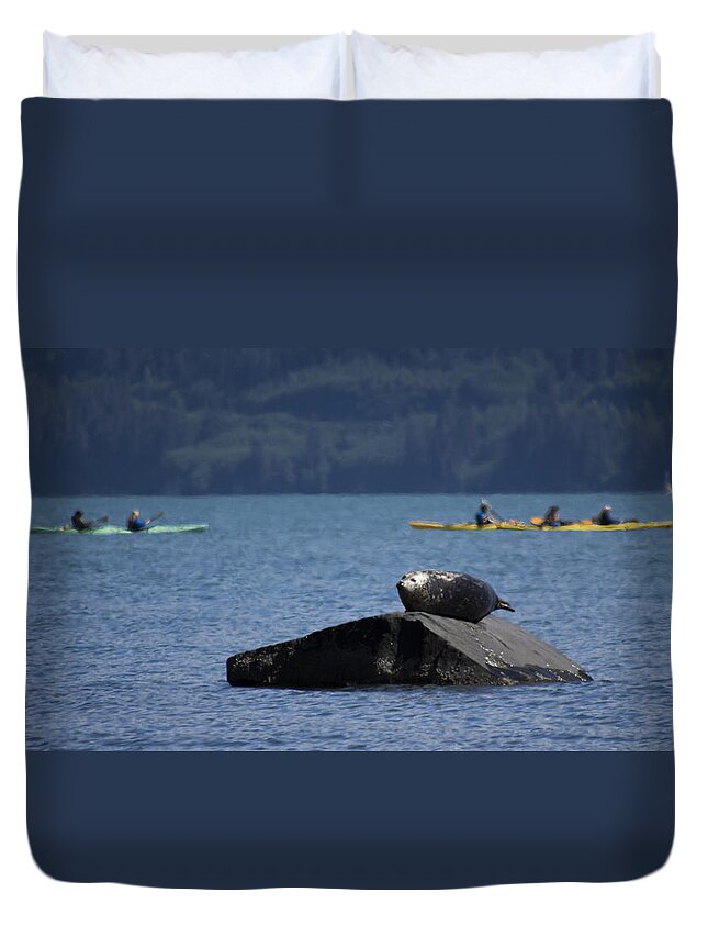 Harbor Seal Duvet Cover featuring the photograph Take No Notice by Ian Johnson