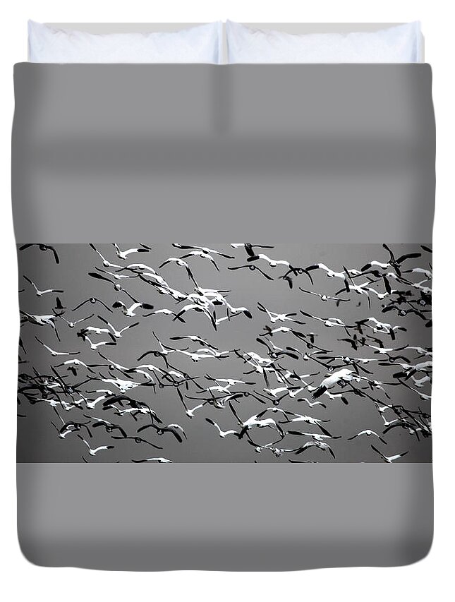  Duvet Cover featuring the photograph Take Wing 2 by Darcy Dietrich
