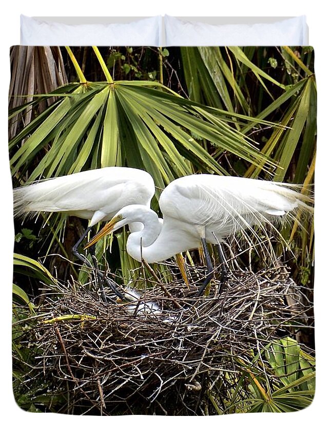 Egrets Duvet Cover featuring the photograph Taking Care of Two Fuzzy Headed Babies by Carol Bradley