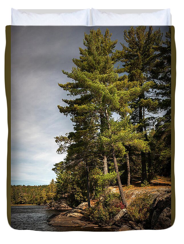 Pine Duvet Cover featuring the photograph Tall pines on lake shore by Elena Elisseeva