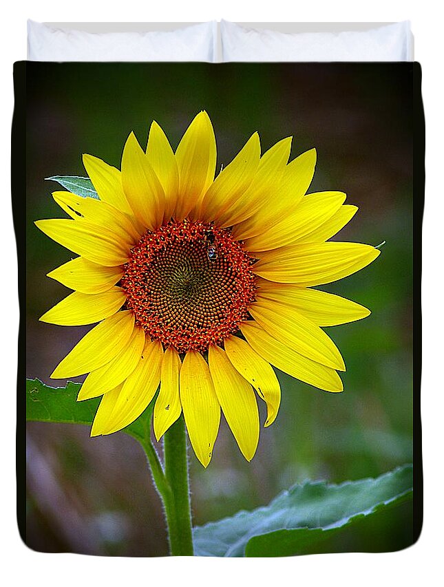 Yellow Flower Duvet Cover featuring the photograph Tall Sunflower Gleaming by Karen McKenzie McAdoo