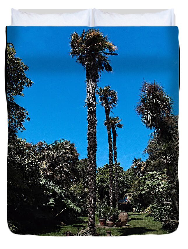 Trees Duvet Cover featuring the photograph Tall Trees by Richard Denyer