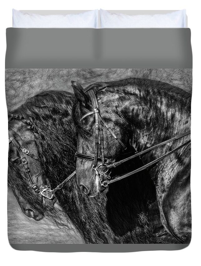 Tandem Friesians Duvet Cover featuring the photograph Tandem Friesians by Wes and Dotty Weber