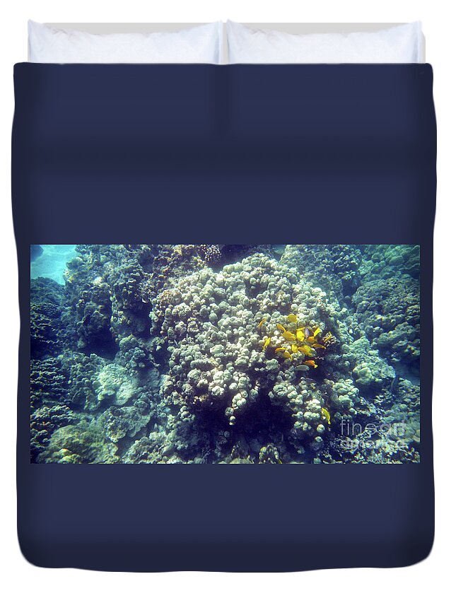 Underwater Duvet Cover featuring the photograph Yellow Tang Enjoying Lunch by Karen Nicholson