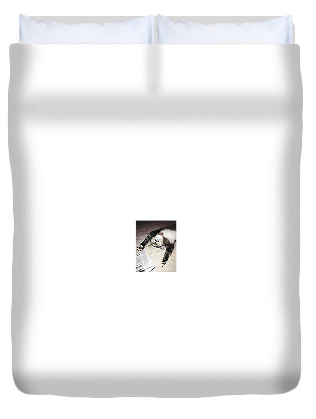 Cat Duvet Cover featuring the photograph Tao by Bob Johnson