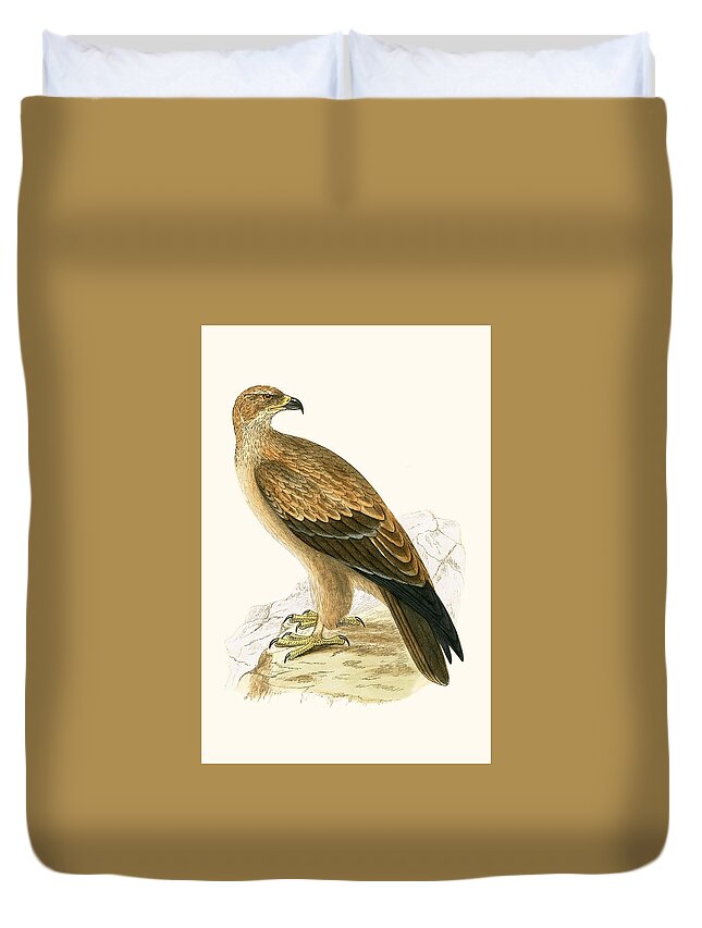 Tawny Eagle Duvet Cover featuring the painting Tawny Eagle by English School