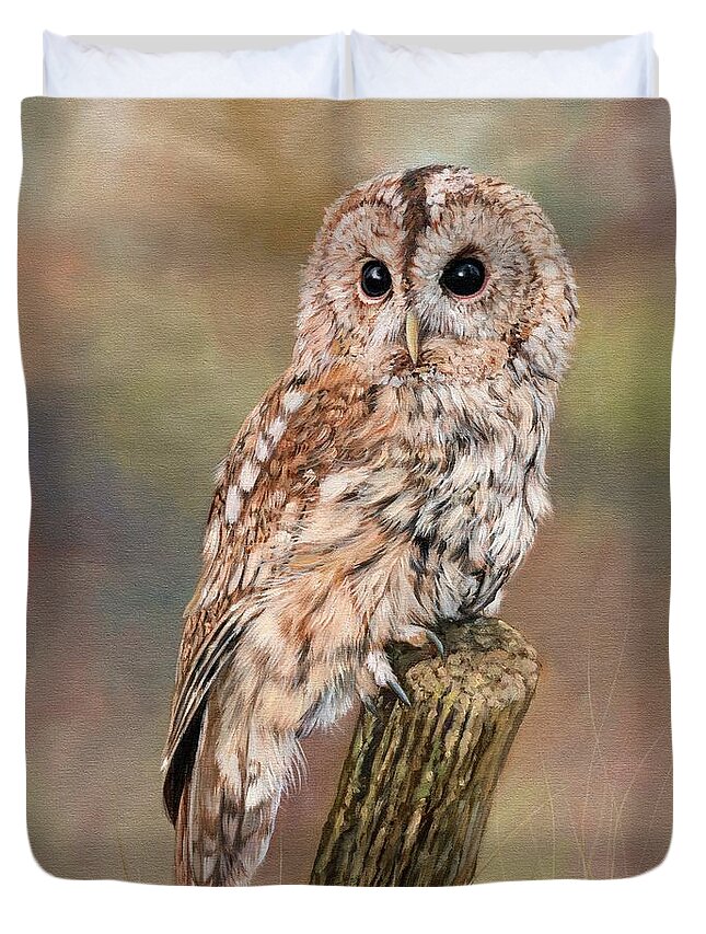 Owl Duvet Cover featuring the painting Tawny Owl by David Stribbling