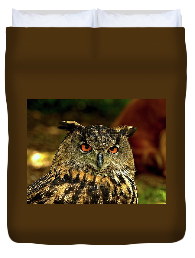 Birds Duvet Cover featuring the photograph Tawny Owl by Richard Denyer