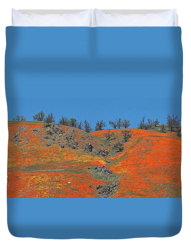 Spring Duvet Cover featuring the photograph Tejon Pass Poppy Panorama by Lynn Bauer