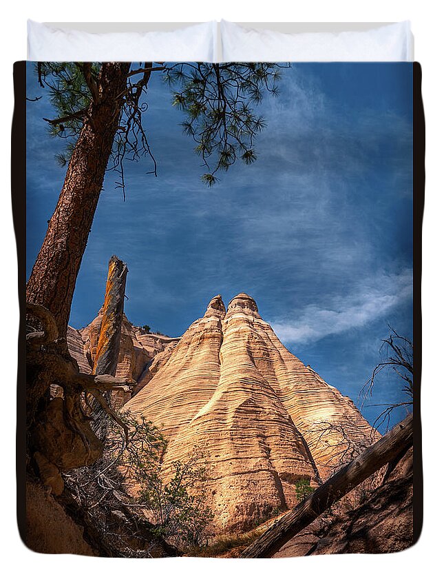 Beautiful Duvet Cover featuring the photograph Tent Rock and Ponderosa Pine by Robert FERD Frank
