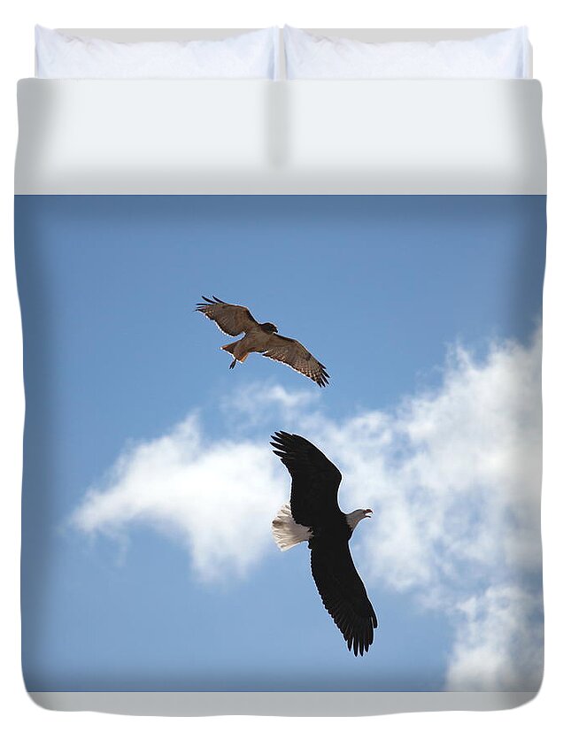 Hawk Duvet Cover featuring the photograph Territory by Trent Mallett