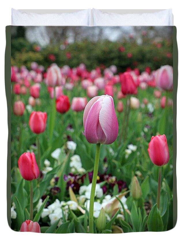 Tulip Duvet Cover featuring the photograph Texas Blooms 45 by Pamela Critchlow